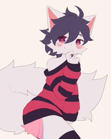 Shima
